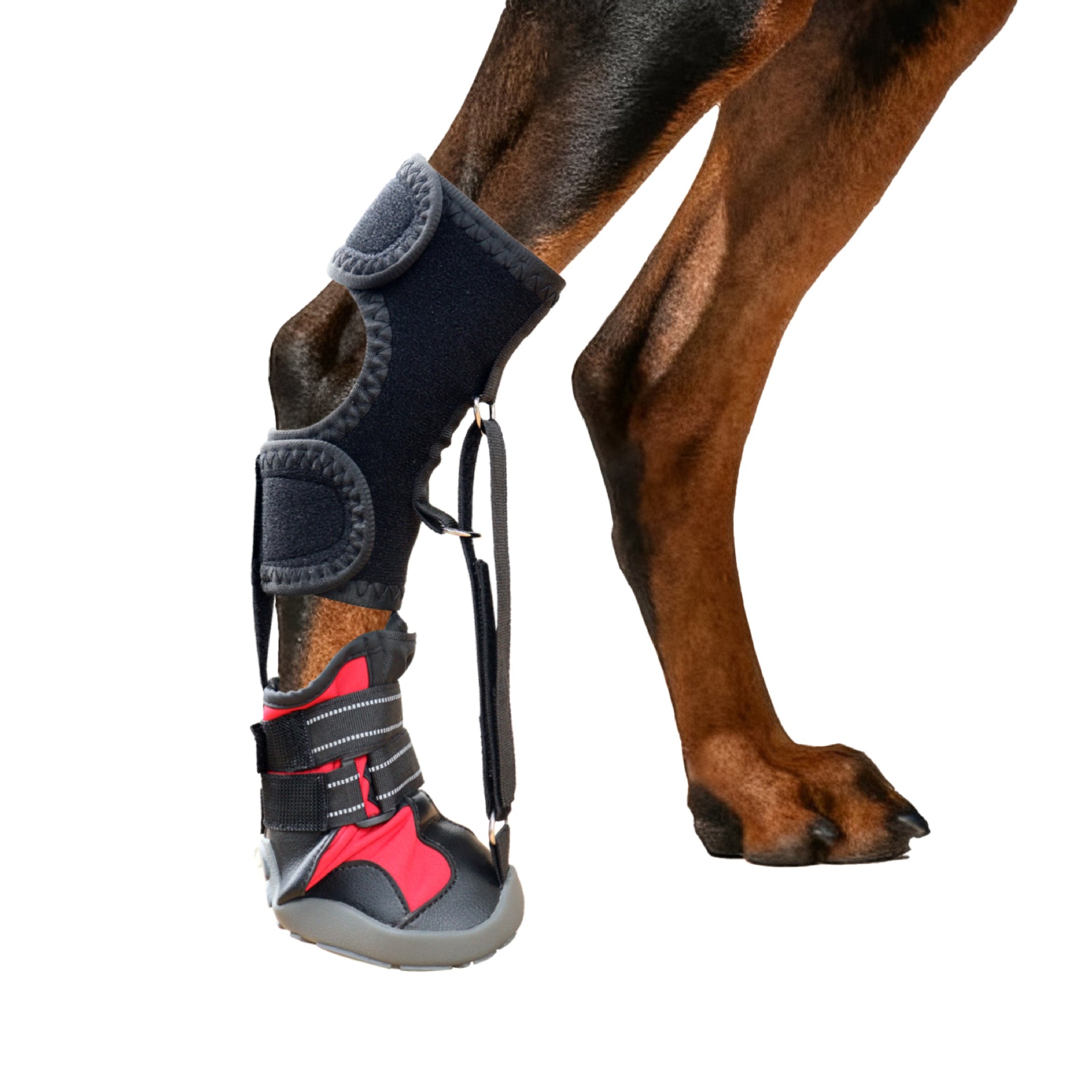 Outdoor Adventure Wear - ペットシューズ、汚れ防止、落下防止、耐摩耗性ハードソール、犬用足保護ブレース、アウトドアアドベンチャー用