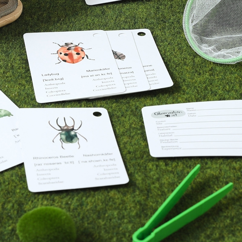 屋外アドベンチャーパック子供のための昆虫観察ボックス拡大鏡昆 - Outdoor Adventure Education のレビューと価格